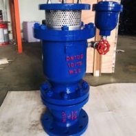 法兰良工排气阀双口排气阀CARX-16Q