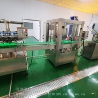 科源机械全自动瓶装蔬果汁包装生产线设备小型饮料灌装机