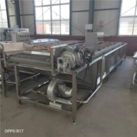 湖南大虾气泡清洗机龙虾清洗加工流水线洗虾设备