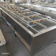 贵州大姜清洗机厂家姜清洗加工设备鲜姜清洗机