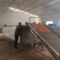 景翔牌蔬菜清洗机QX-6米叶菜气泡清洗机不锈钢材质