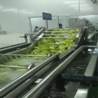 供应香菇气泡清洗机菌类清洗加工设备蘑菇清洗流水线