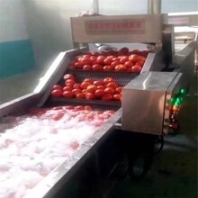 酱菜脱盐机咸菜清洗加工设备景翔牌