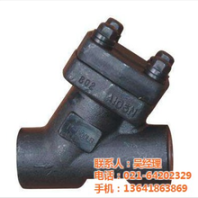 快开式Y型过滤器_德阳Y型过滤器_慎工美标阀门