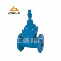 供应铸钢RVCX埋地式弹性座封闸阀