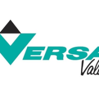 全国供应VERSA不锈钢阀门BSP-3308-316-HYA