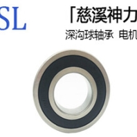 畅销的慈溪神力0类6202-2RS轴承价格180202电机轴