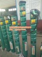 家用深井泵井泵河北冀泵源在线咨询