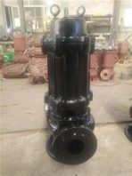 绥化污水提升泵_河北冀泵源图_wq污水提升泵价格