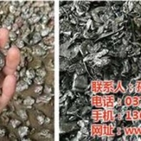 汕尾市废钢破碎机亿丰电机壳破碎机图废钢破碎机图片