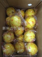 两个柠檬自动包装机