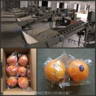 冰糖橙套袋机自动冰糖橙打包机冰糖橙套袋包装机