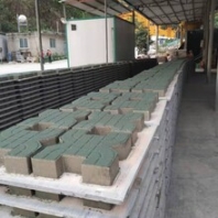 惠州植草砖8字型/井字型/背心型生产