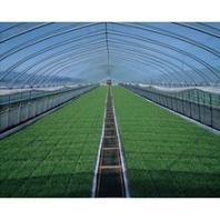 四川薄膜拱棚安装工程持久耐用