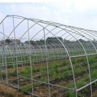 内蒙专业承接薄膜拱棚安装