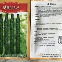 天津德瑞特博耐12-5黄瓜种子苗子批发越冬油亮高产黄瓜