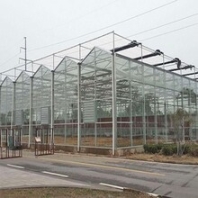 新疆专业从事玻璃温室持久耐用