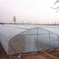 武汉薄膜拱棚持久耐用