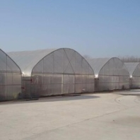四川专业从事薄膜拱棚哪家好持久耐用