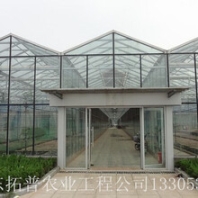 智能温室大棚、蔬菜大棚