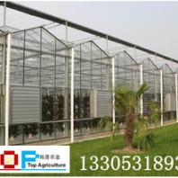 农业公司智能温室大棚、大棚配件、骨架