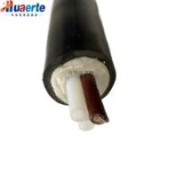 伴热电缆FHT-D42-B1φ8-A1φ6-BG-0-0-E耐腐伴热采样复合管