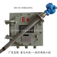 RHO-307直插防爆氧气分析仪