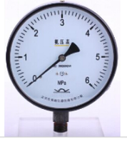 布莱迪不锈钢膜片压力表_膜片压力表YPF-160H