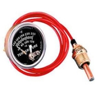 墨菲压力表EGS21P-100-24-A