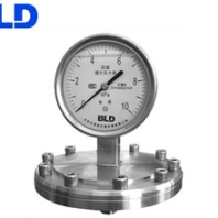布莱迪BLD膜片式压力表YTP-100