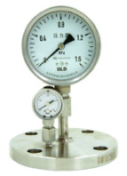 布莱迪BLDPYTH-100FF/PYTHN-100FF双膜片隔膜压力表