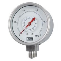 赛途SSI防腐型双针双管差压表YCSH-100