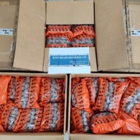 达极胶球25-P150-3