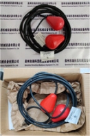 SOR液位开关 301A-F1A-B-A4-N4
