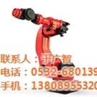 寒亭区机器人兄弟机器人机器人新松