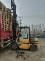 天津市专注叉车租赁厂家，燃油叉车出租，电动叉车出租