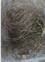 博罗县整厂回收,工厂设备处理回收