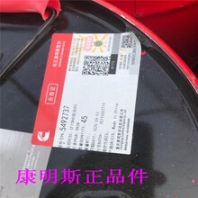 QSX15活塞4376245/4357149