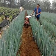 厚街真空脱泡箱 海扬真空寿命长 小型真空脱泡箱定制