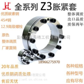 Z3系列胀套非标304不锈钢定制厂家直销BIKON1003胀紧套SP2胀套