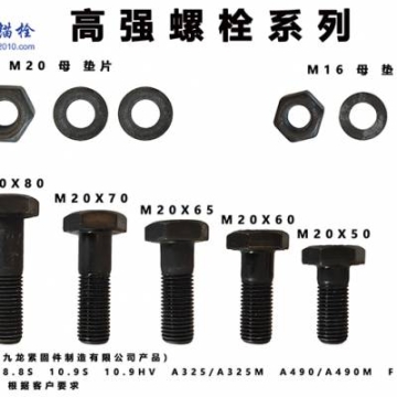 钢结构紧固件 九龙牌 M20*50