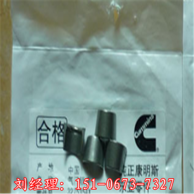 QSK19-C康明斯喷油器维修包F00BL0J020有货供应