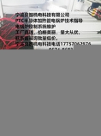 加热技术支持宁波良智机电科技有限公司PTC半导体加热管电锅炉技术指导