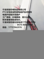 发热只发热、不发光宁波良智机电科技有限公司PTC半导体加热管电锅炉技术指导