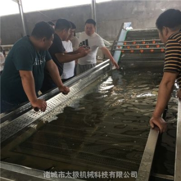 鼓浪式全自动果蔬清洗设备/蔬菜水果食品加工设备/厂家直销/型号齐全