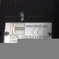 KOBOLD科宝齿轮流量计DZR-1003S10FSV成交南京客户