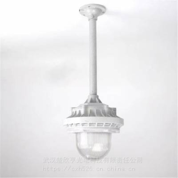 防爆灯一体款 220V50w 壁式防爆LED灯 弯杆吸盘防坠链 杆长500mm